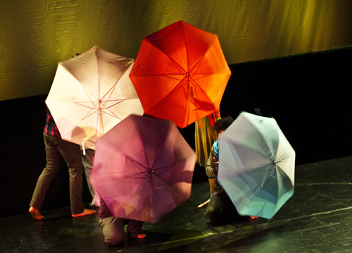 Schirme mit Charme. Foto: Katharina Maier
